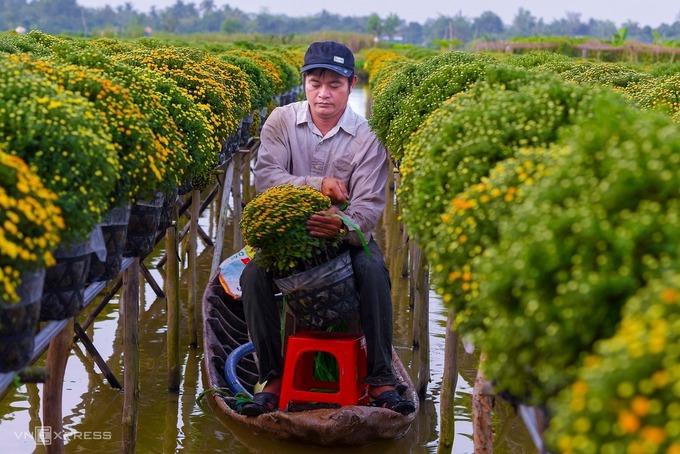 Làng hoa trăm tuổi vào mùa Tết